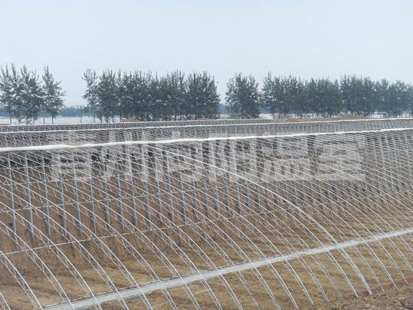 溫室骨架 (3)