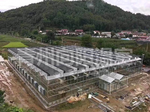 陽光板溫室