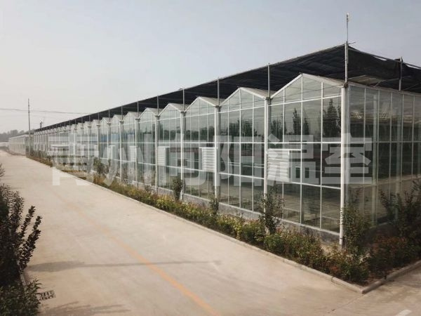 玻璃溫室 (16)