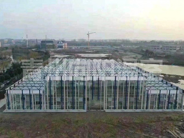玻璃溫室 (13)