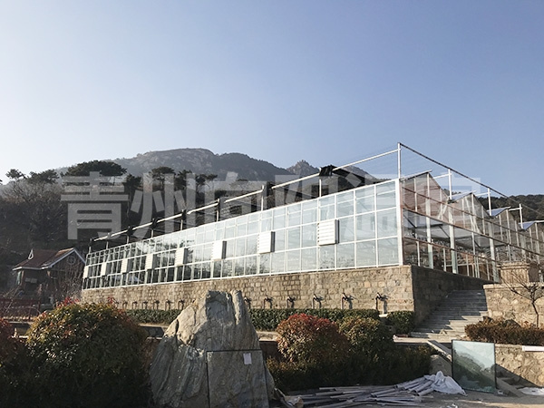 山東泰安螭霖魚養(yǎng)殖溫室